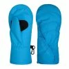 Top 10 ✨ Boulder Gear Youth's Flurry Mittens Blue ✔️