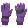 Top 10 ✨ Polar Extreme ???? Women's Insulated Snow Gloves Purple ????