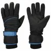 Cheapest ???? Polar Extreme Men's Insulated Gloves Black/Blue ????